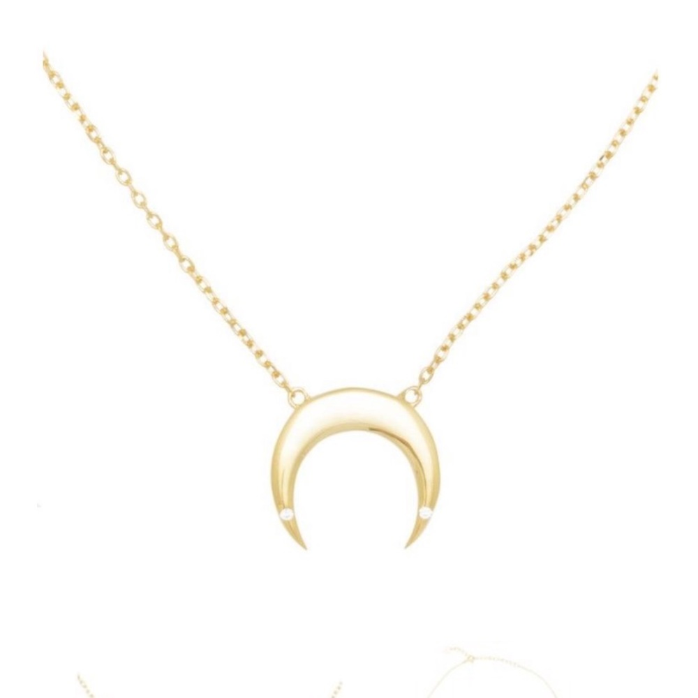 Alex Mika Jewelry Horn Necklace